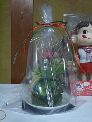 ���N���͎O���̓��I