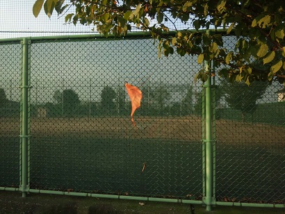 ���N���͎O���̓��I