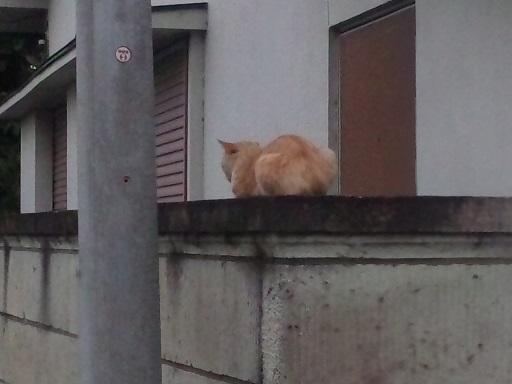 ���N���͎O���̓��I