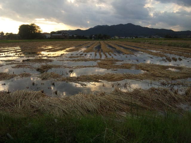 ���N���͎O���̓��I