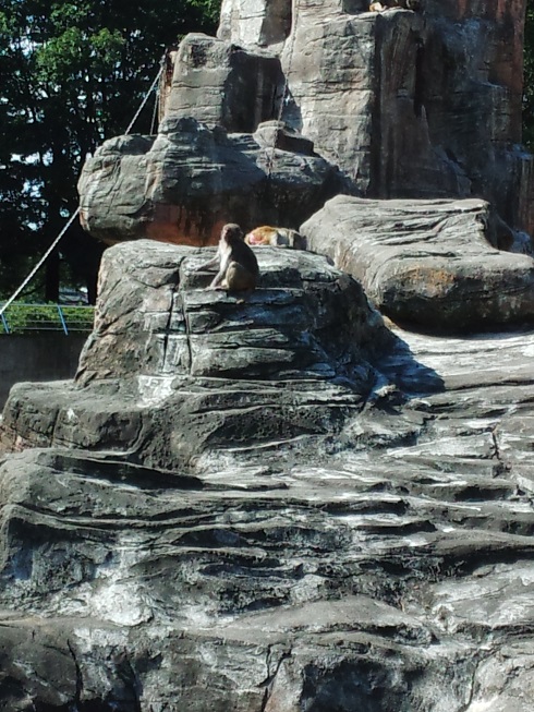 ���N���͎O���̓��I