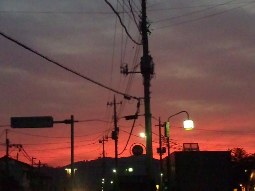 ���N���͎O���̓��I