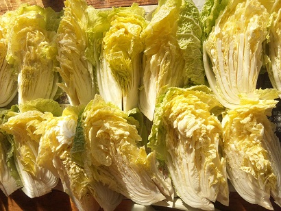 ���N���͎O���̓��I