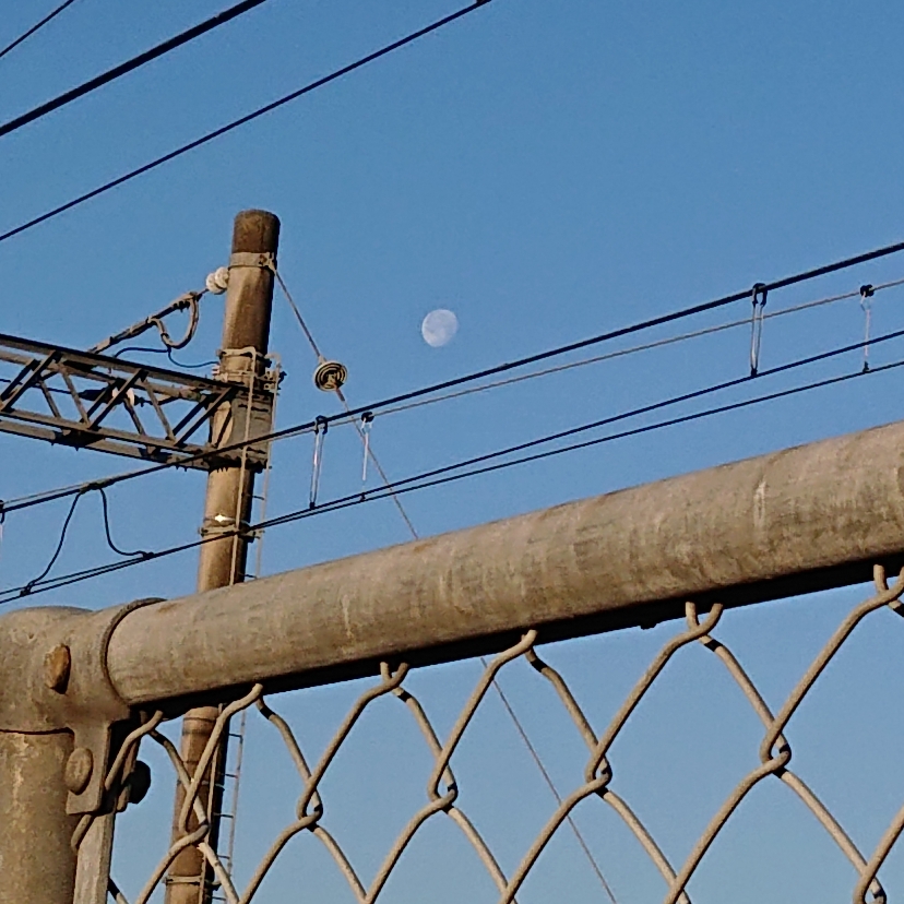 ���N���͎O���̓��I