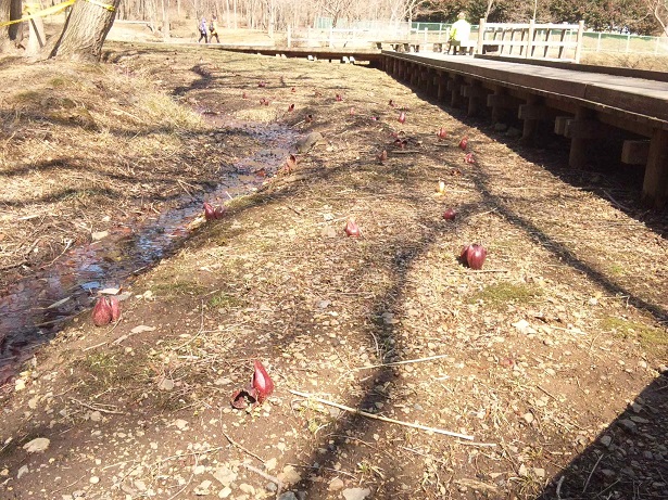 ���N���͎O���̓��I