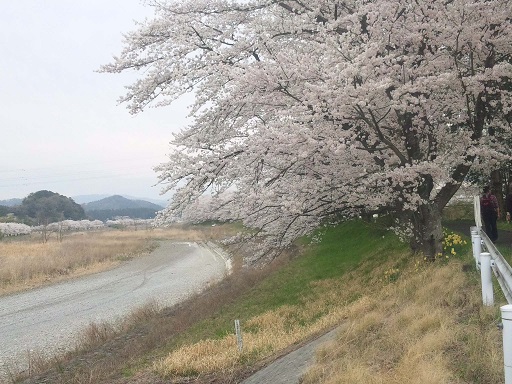 ���N���͎O���̓��I