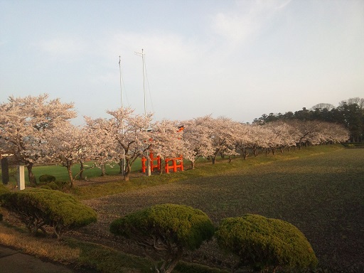 ���N���͎O���̓��I