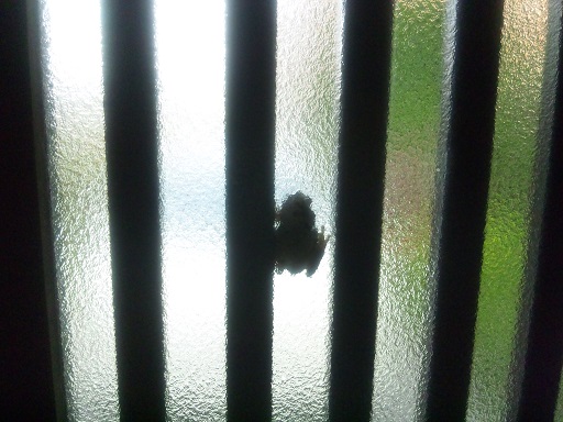 ���N���͎O���̓��I