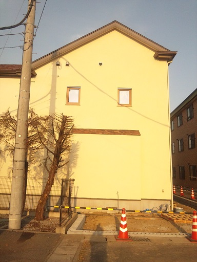 ���N���͎O���̓��I