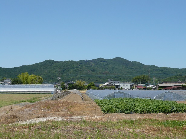 ���N���͎O���̓��I