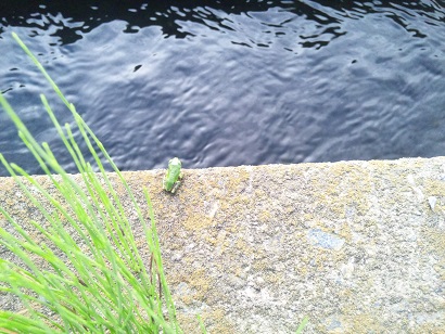 ���N���͎O���̓��I