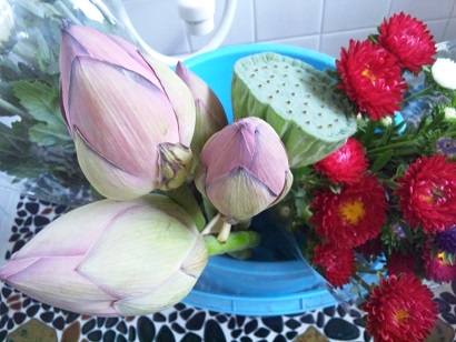 ���N���͎O���̓��I