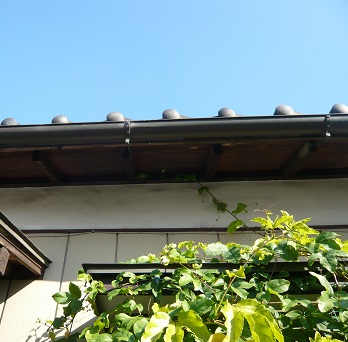 ���N���͎O���̓��I