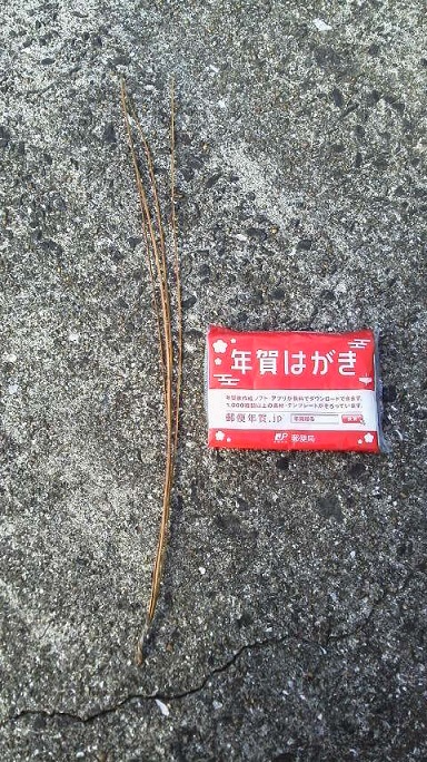 ���N���͎O���̓��I