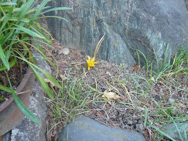 ���N���͎O���̓��I