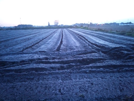 ���N���͎O���̓��I