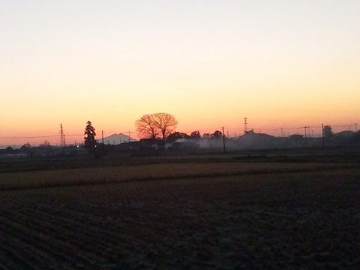 ���N���͎O���̓��I