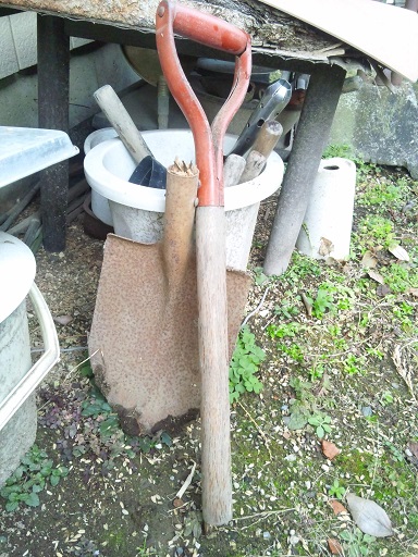 ���N���͎O���̓��I