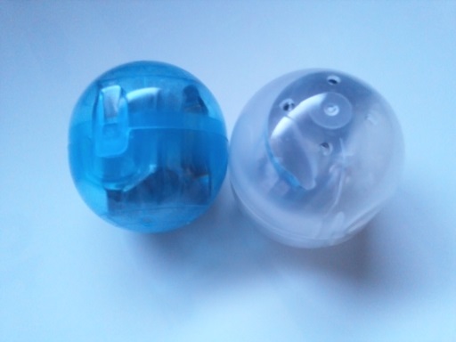 ���N���͎O���̓��I