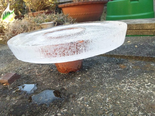 ���N���͎O���̓��I