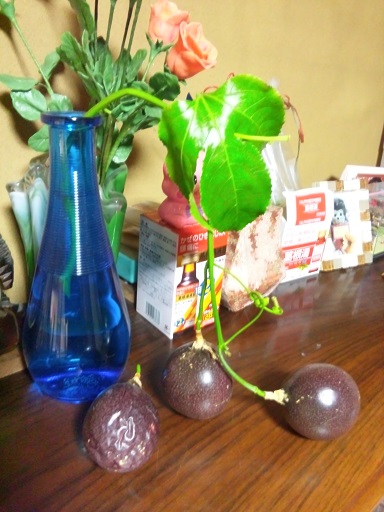 ���N���͎O���̓��I