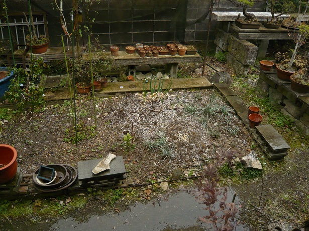 ���N���͎O���̓��I