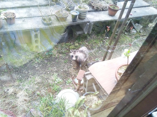 ���N���͎O���̓��I