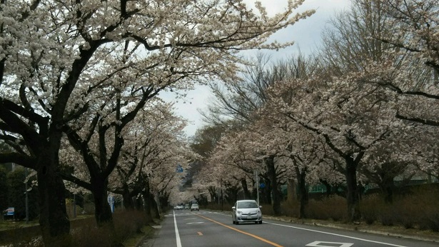 ���N���͎O���̓��I