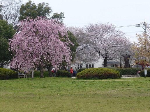 ���N���͎O���̓��I