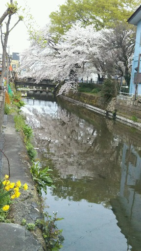 ���N���͎O���̓��I