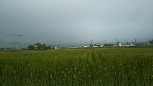 ���N���͎O���̓��I