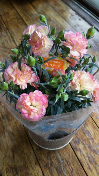 ���N���͎O���̓��I