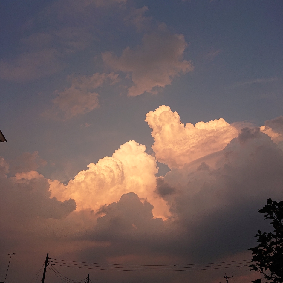 ���N���͎O���̓��I