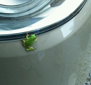 ���N���͎O���̓��I