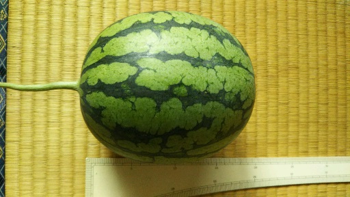 ���N���͎O���̓��I