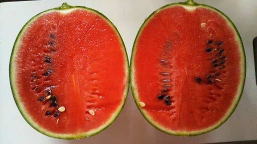 ���N���͎O���̓��I