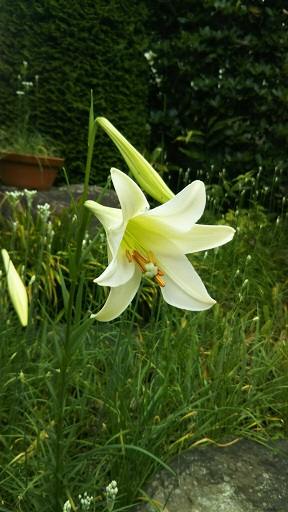 ���N���͎O���̓��I