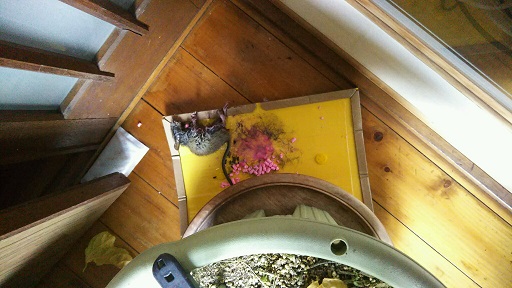 ���N���͎O���̓��I