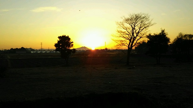 ���N���͎O���̓��I