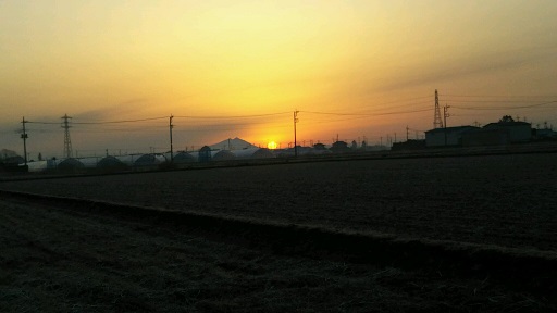 ���N���͎O���̓��I