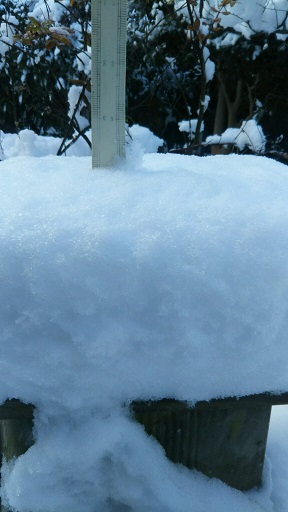 ���N���͎O���̓��I