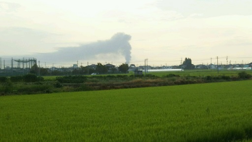 ���N���͎O���̓��I