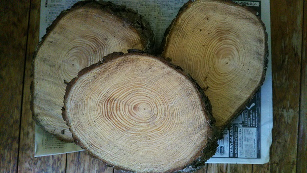 ���N���͎O���̓��I