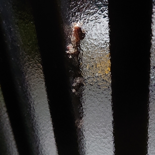 ���N���͎O���̓��I