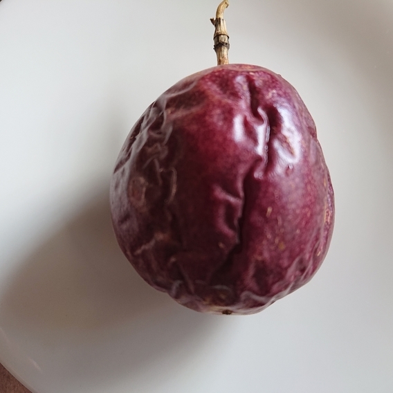 ���N���͎O���̓��I