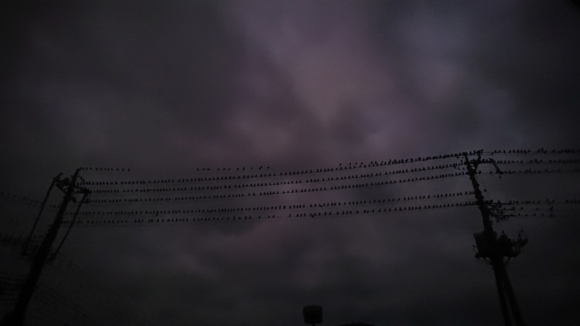 ���N���͎O���̓��I