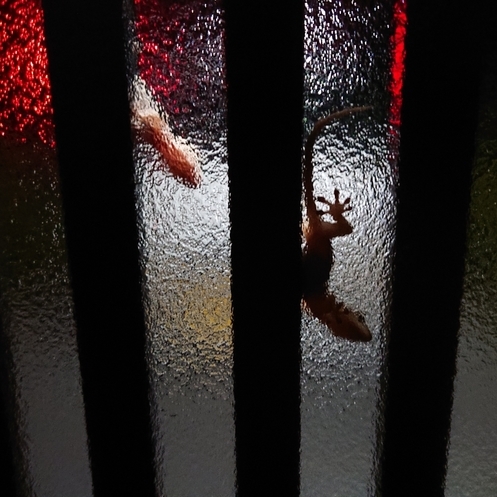 ���N���͎O���̓��I