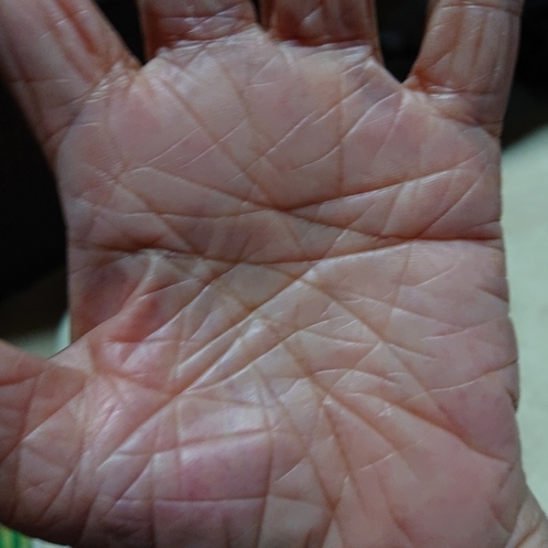 ���N���͎O���̓��I