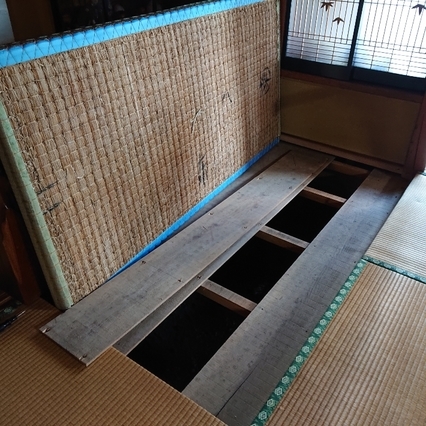 ���N���͎O���̓��I