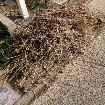 ���N���͎O���̓��I